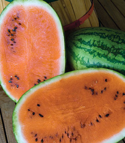 Watermelon, Orange Tendersweet
