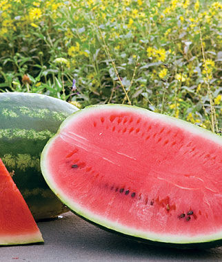 Watermelon, Allsweet Organic