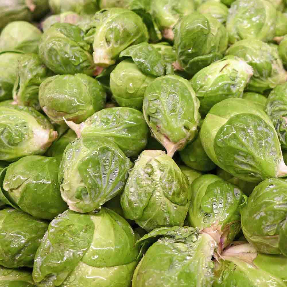 Brussels Sprouts, Green Gems Hybrid